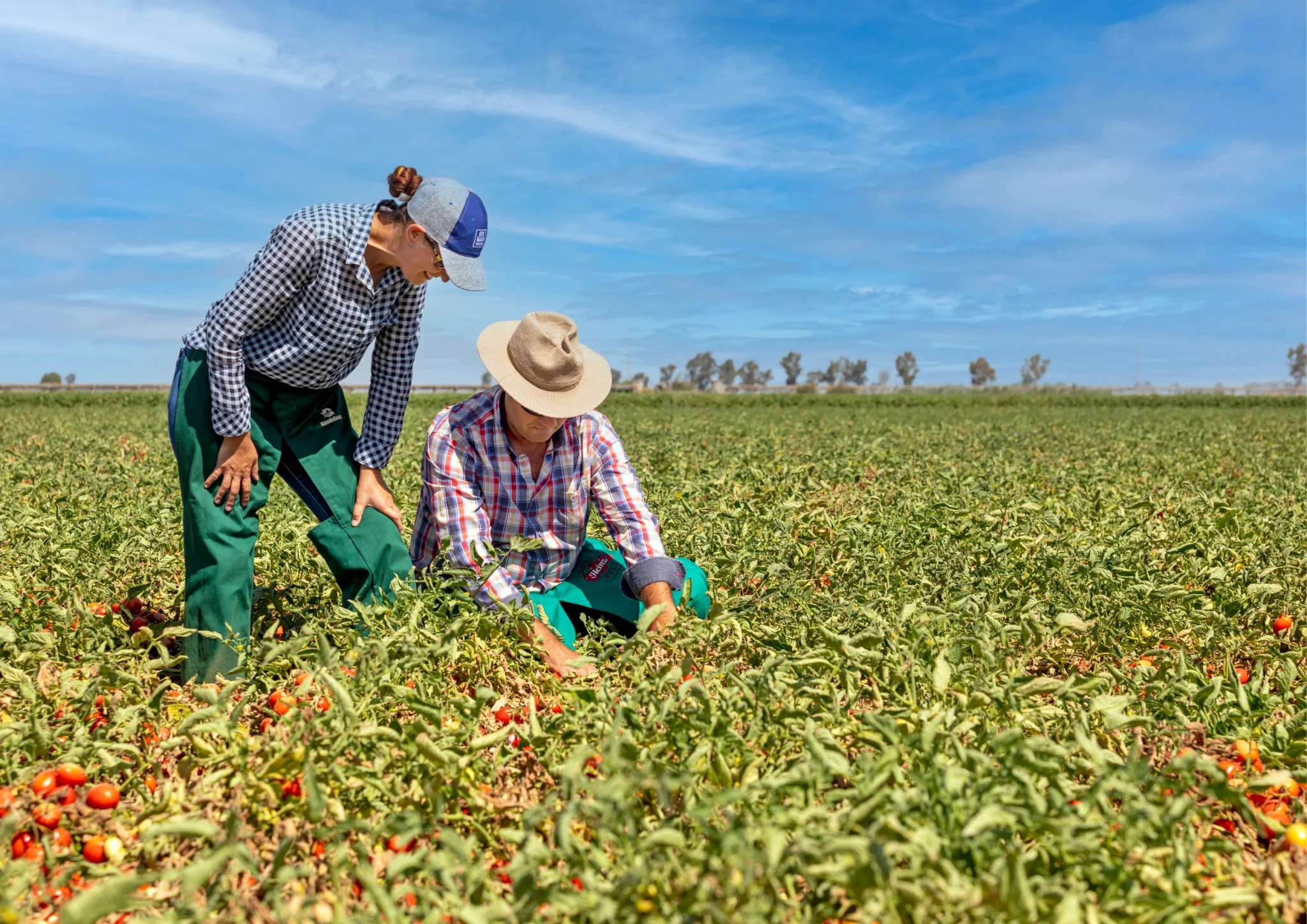trabaja con nosotros - las marismas de lebrija (1)