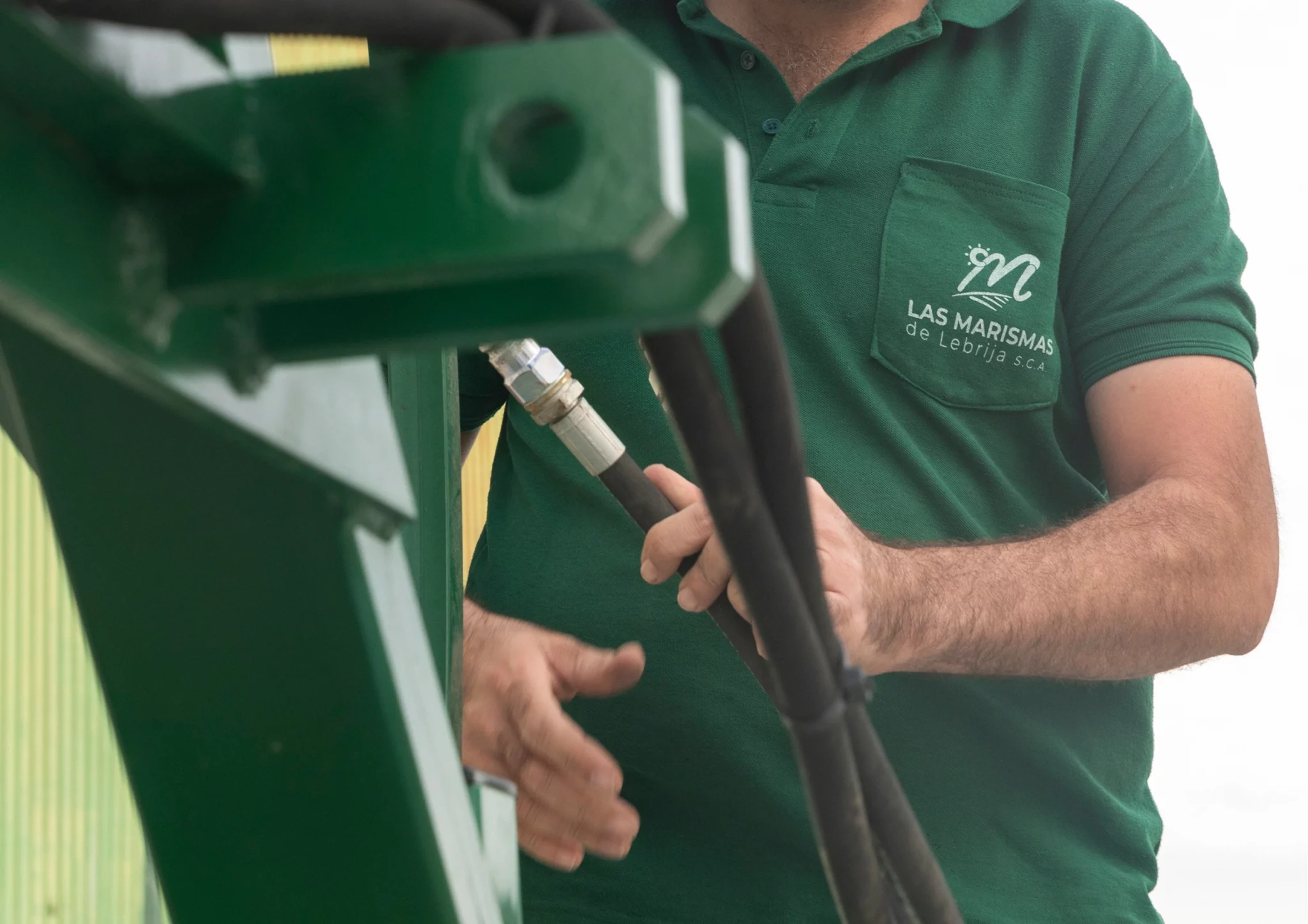 trabaja con nosotros - las marismas de lebrija (4)