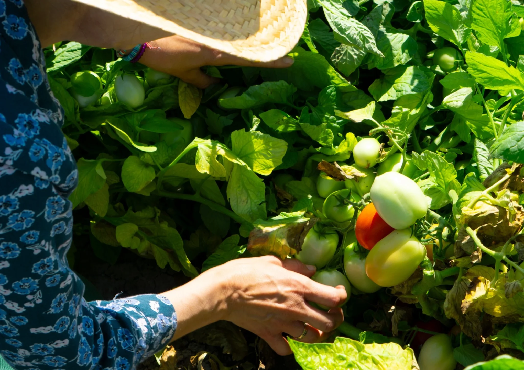 trabaja con nosotros - las marismas de lebrija (5)