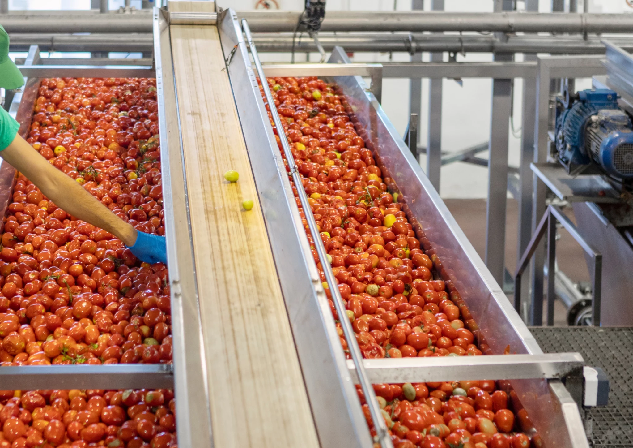 trabaja con nosotros - las marismas de lebrija (6)